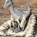 Ilustracija samca dinozavra, ki varuje in vali jajca.
