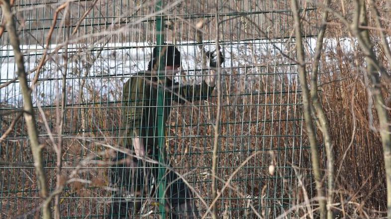 Panelna ograja na meji Slovenije in Hrvaške