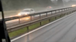 Vožnja v napačno smer