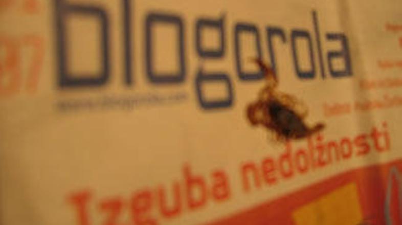 Avtorji objavljenih zapisov v Blogoroli bodo dobili honorara.