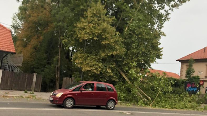 Veter v Ljubljani