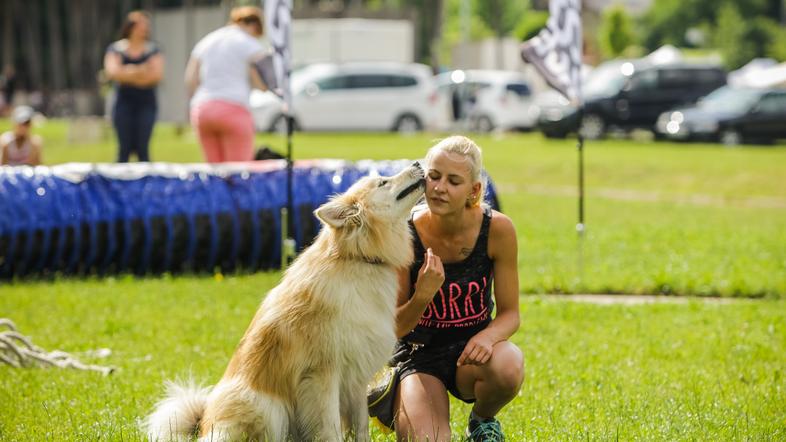 Festival za živali