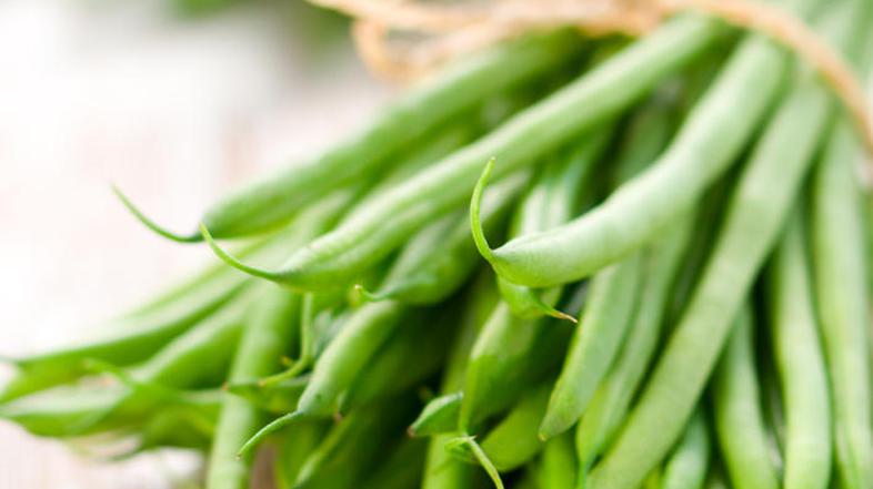 Stročji fižol vsebuje vrsto izjemno pomembnih beljakovin in rudninskih snovi, ki