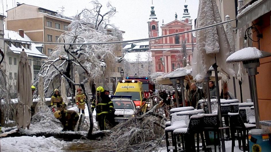 Podrto drevo v Stari Ljubljani 