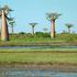 Madagaskar