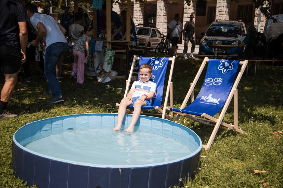 Festival za ljubitelje živali 2025 | Avtor: Cimet Studio