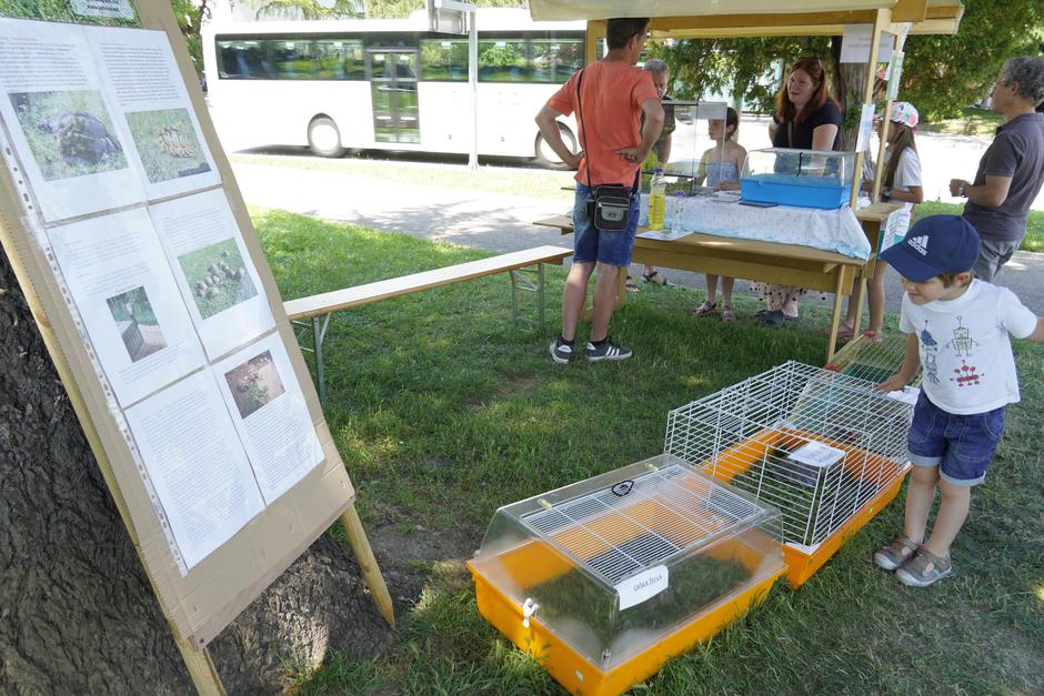 Festival za ljubitelje živali 2025 | Avtor: Matija Janezic