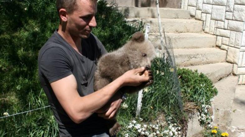 matevž logar,  medved Srečko