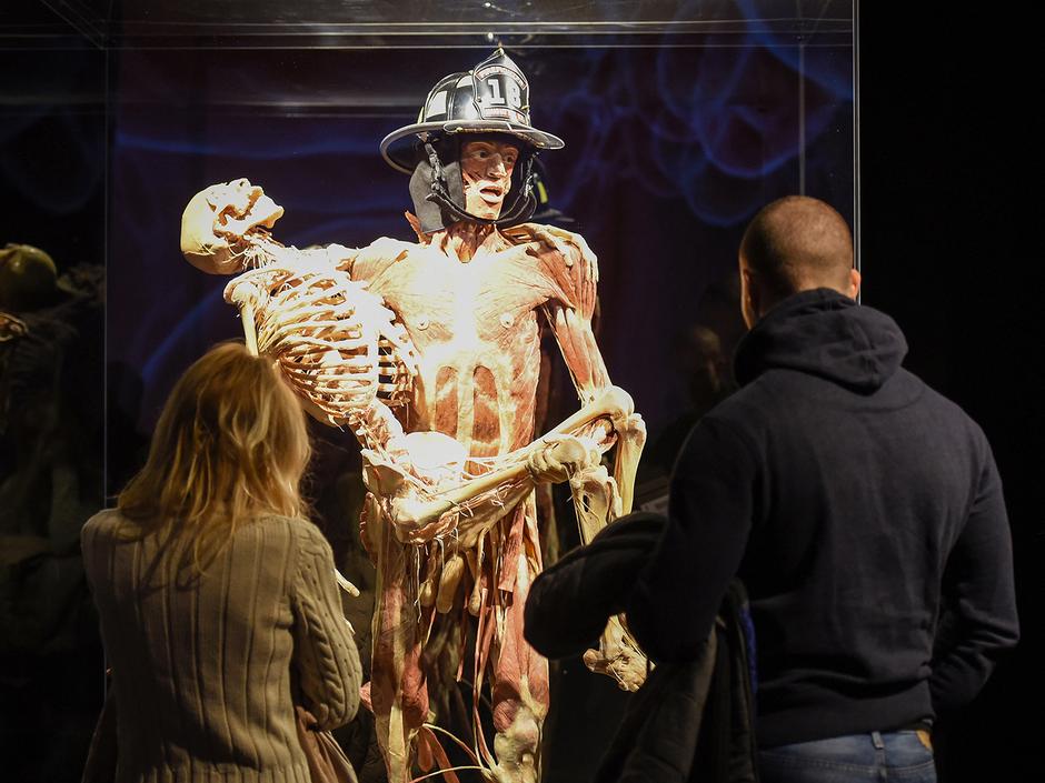 Body Worlds Vital | Avtor: Body Worlds Vital