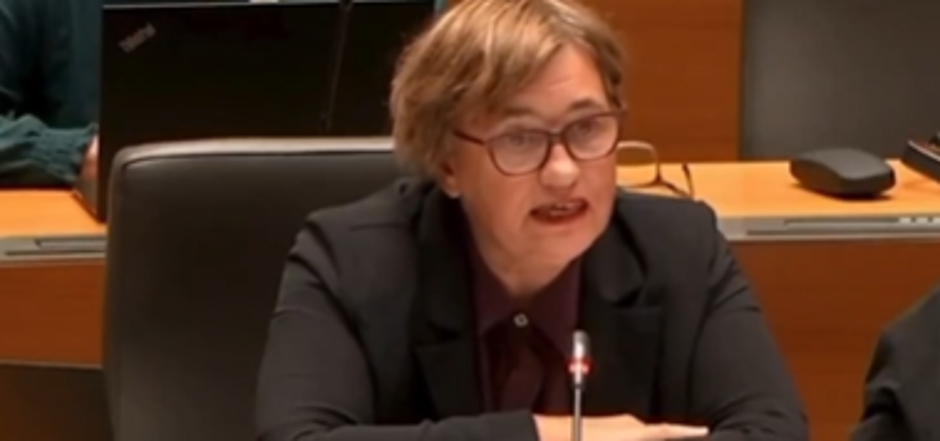 Nataša Sukič | Avtor: Nova24TV 2/posnetek zaslona