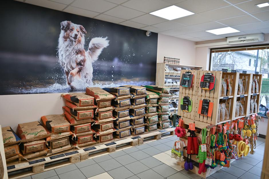 Kosmatinčki.si | Avtor: Kosmatincki.si