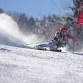 kranjska gora pokal vitranc