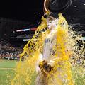 brett lawrie splash