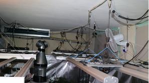 Ljubljanski policisti zasegli 650 sadik konoplje