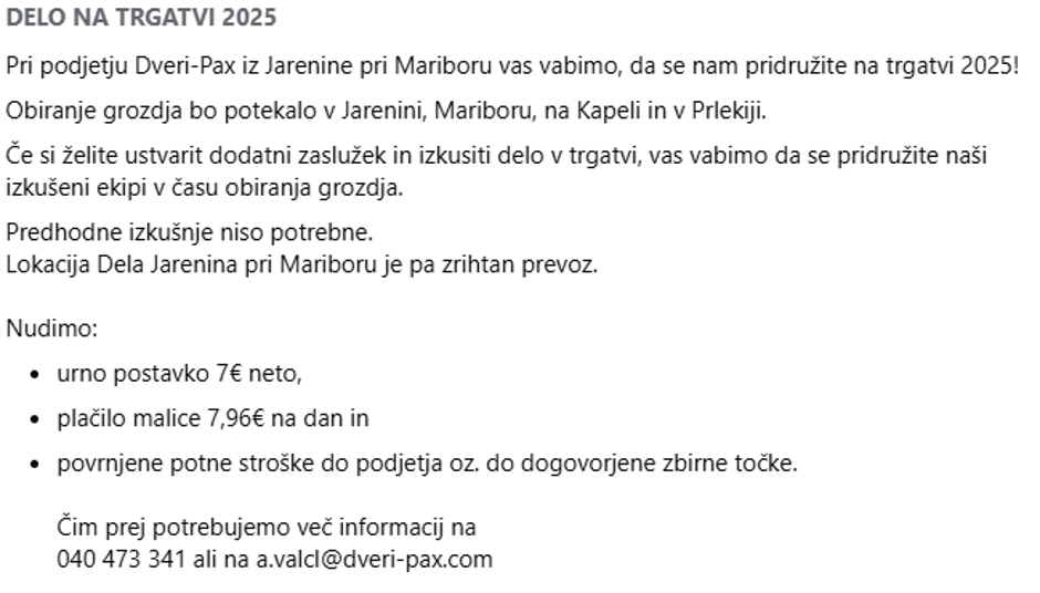 Sezonsko delo, grozdje | Avtor: Facebook/Delo v Avstriji