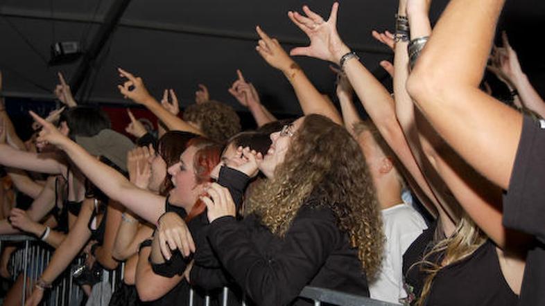 Različne glasbene skupine so obiskovalce pripeljale do različnih glasbenih orgaz