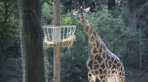 Živalski vrt Ljubljana