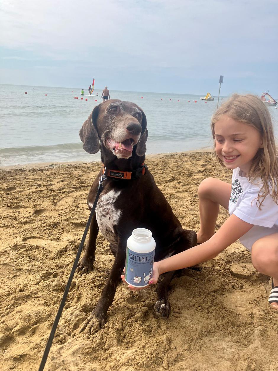 Naravno zdrav pes | Avtor: Odlična pomoč tudi v primeru, da na dopustu pes zaužije slano vodo