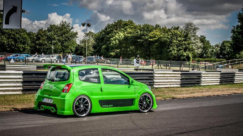 Twingo cameleon