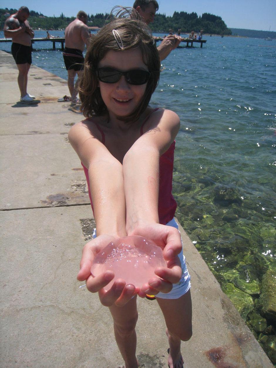  | Avtor: Žurnal24 main