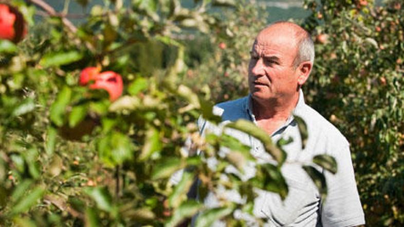 "V sadovnjakih so ostale skorajda samo še sive glave. Kar nekaj sadjarjev je svo