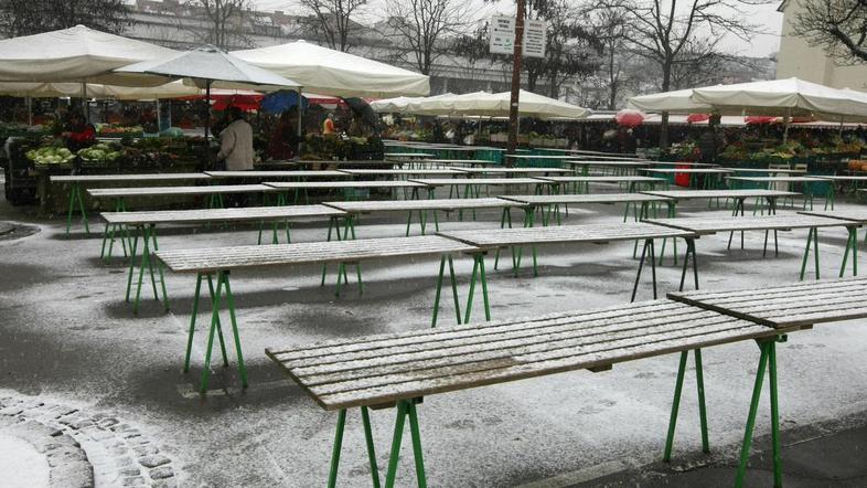 Nekaj snežink smo dočakali tudi v preteklem tednu. (Foto: Saša Despot)