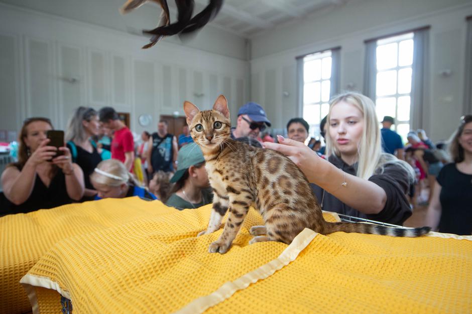 Festival za ljubitelje živali | Avtor: Anže Petkovšek