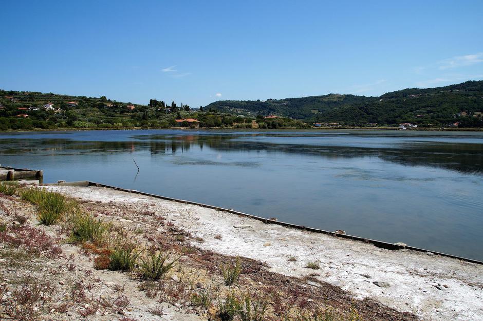 Hervis | Avtor: Hervis