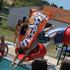 Tequila pool party