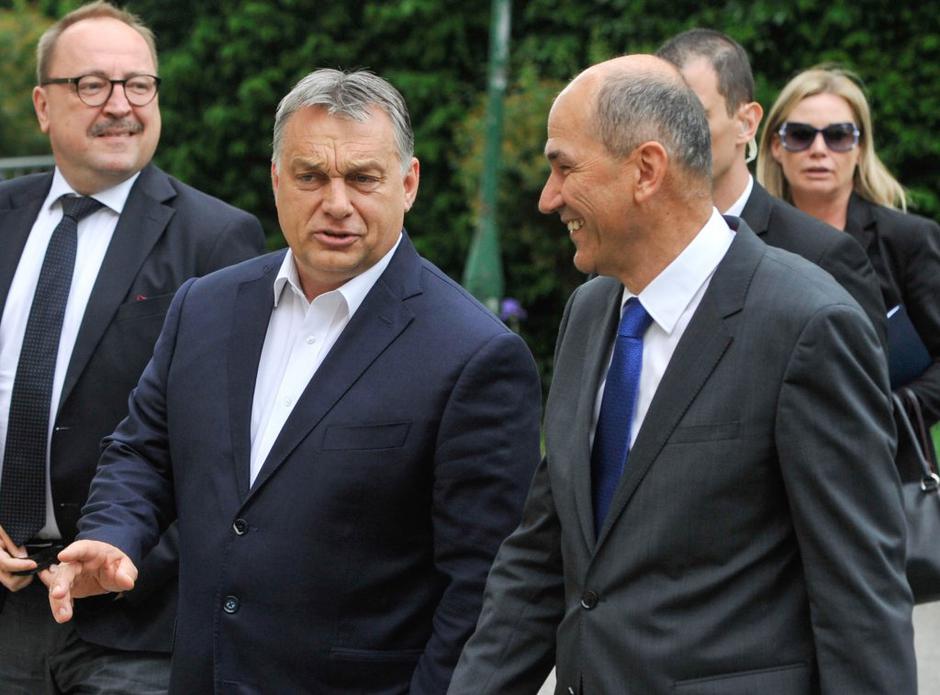 SDS | Avtor: Žurnal24 main