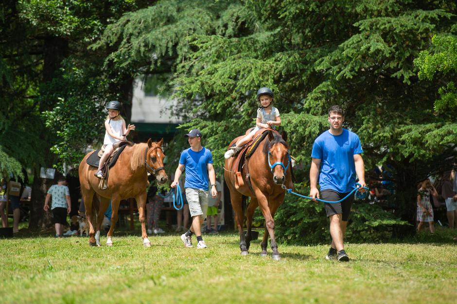 Festival za ljubitelje živali 2023 | Avtor: Anže Petkovšek