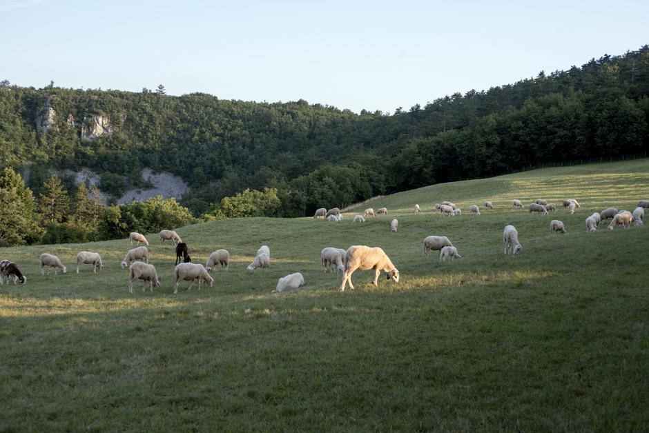 ZAKRAS 2 | Avtor: Borut Lozej