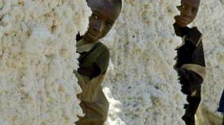 Mladeniči kukajo izza bal bombaža na farmi v Burkini Faso.