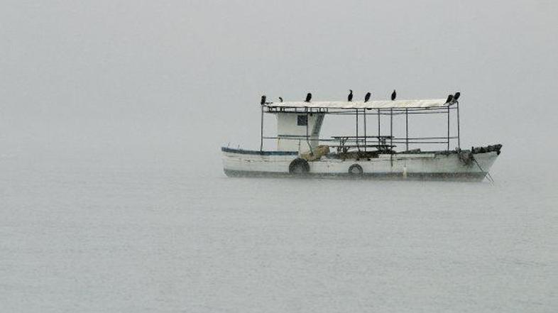 Brane Gregorčič je dejal, da megla na Obali do konca tedna ne bo več tako gosta 