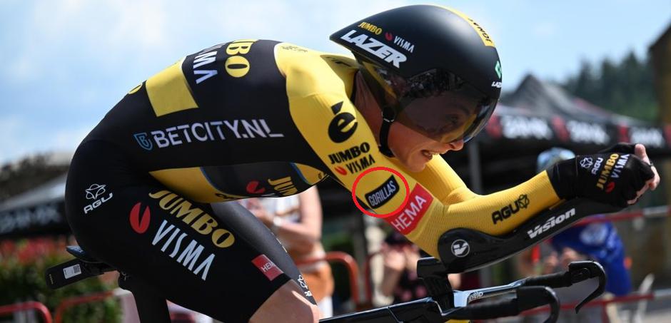 Gorillas | Avtor: Reševalni pas/Twitter