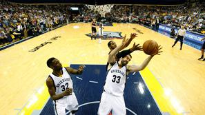 memphis grizzlies 