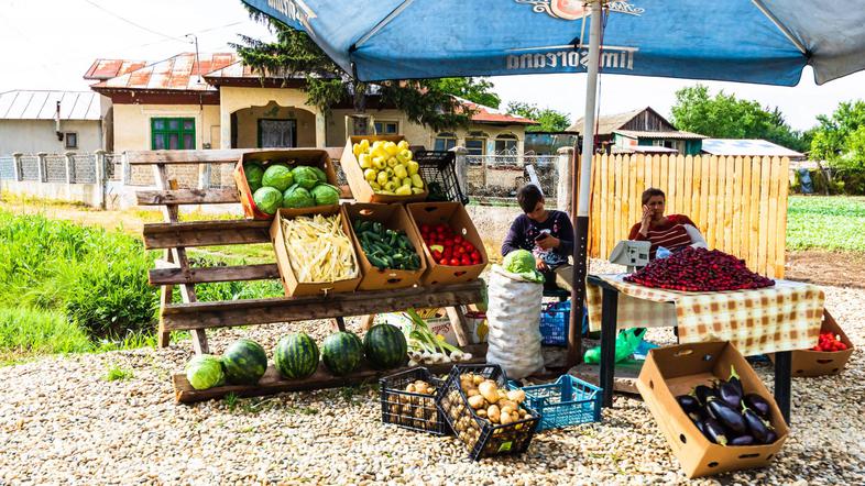 stojnica sadje zelenjava ob cesti