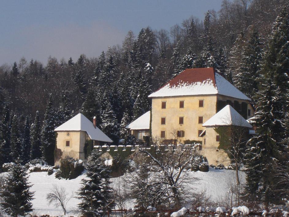 Grad Strmol bodo začeli letos obnavljati, naslednje leto pa bo že odprl svoja vr