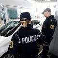 policija mejna kontrola