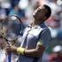 Đoković Djoković Tsonga Indian Wells Masters ATP