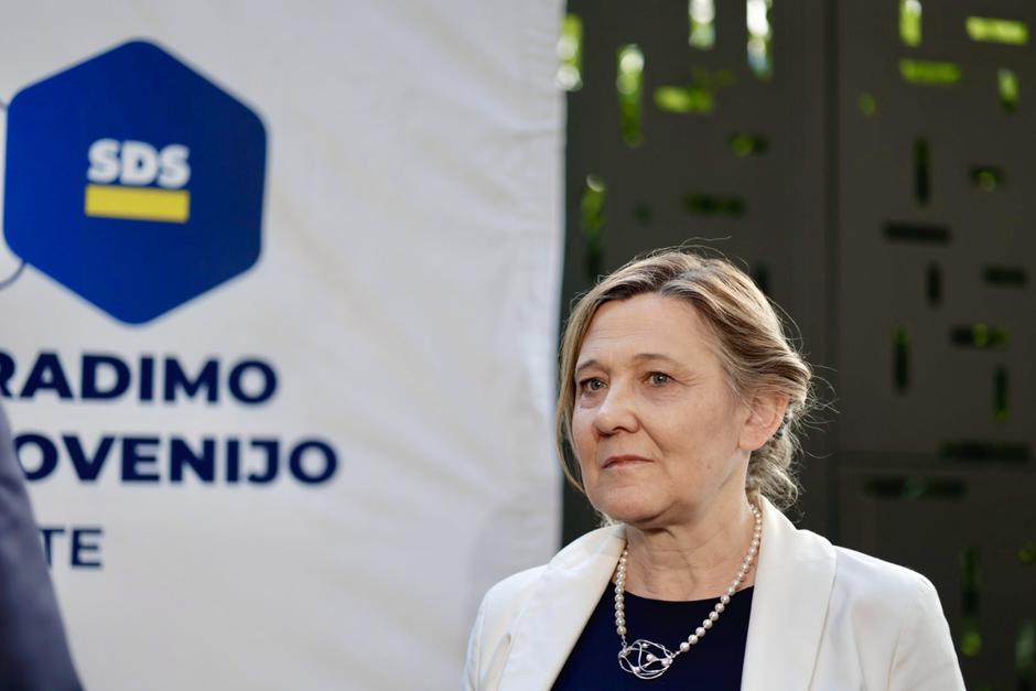 referendum, Ignacija Fridl Jarc | Avtor: Saša Despot