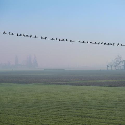 mraz jutro vreme megla