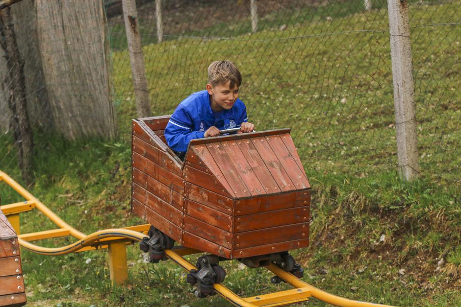 ZOO Aladin | Avtor: ZOO Aladin