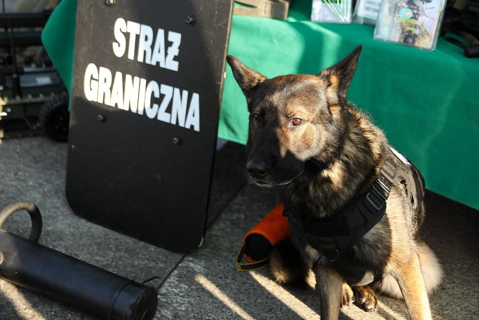 poljska vojska | Avtor: Profimedia