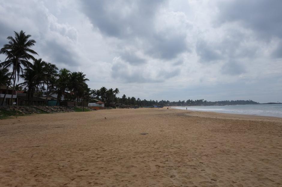 Šrilanka | Avtor: Maja Bitenc