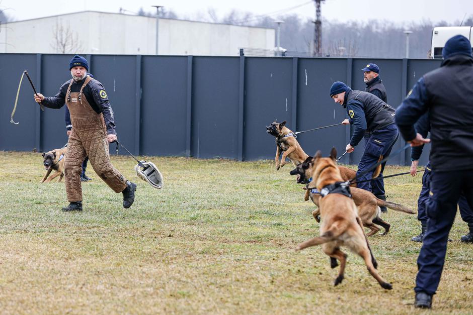 oddelek za šolanje službenih psov Gmajnice, policijski psi, šolanje psov | Avtor: Saša Despot