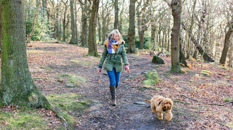 Gozd, sprehod, narava, pes, pohod