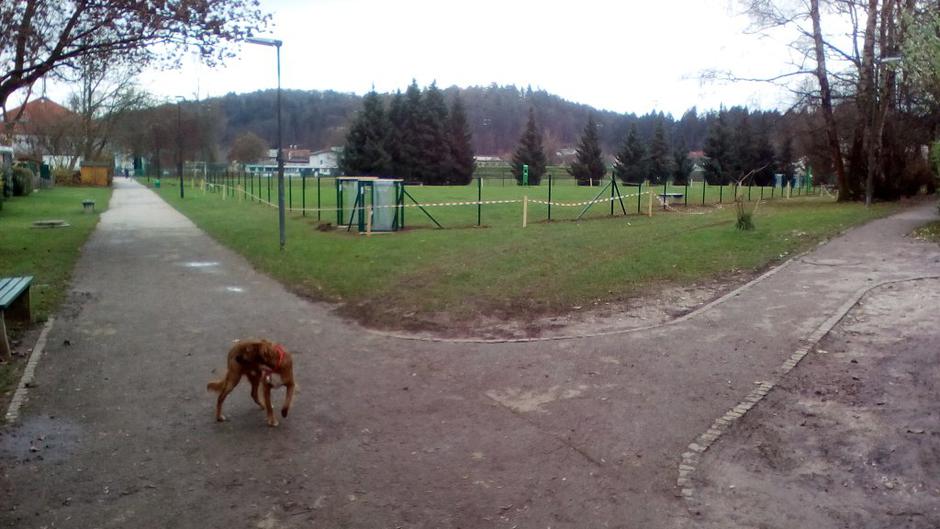 Pasji park Koseze | Avtor: V. L. 