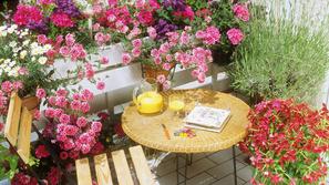 Mesec pametnih obrokov