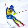 shiffrin